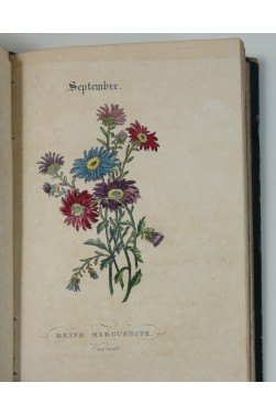 Le langage des fleurs par Charlotte De La Tour. 14 superbes planches aquarellées, 1839