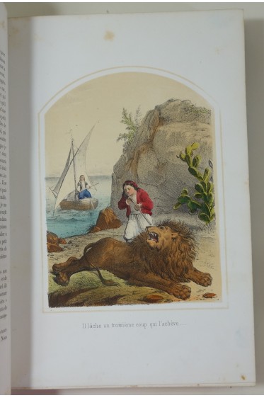 Aventures de Robinson Crusoé. Grandes lithographies en couleurs par Coppin. Librairie Janet