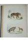 Oeuvres Complètes de Buffon : Minéraux, Animaux, Oiseaux. Planches coloriées, 7 vol. + 1 Lacépède