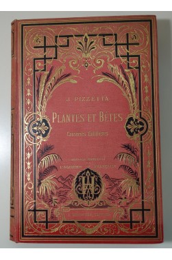 PIZZETTA. Plantes et bêtes : causeries sur l'histoire naturelle. 150 gravures, 6 planches coloriées. Cartonnagen Hennuyer, 1882