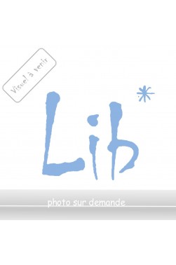 Qu'Apprend-On A L'Ecole Elementaire? : Les Nouveaux Programmes -- Preface De ...