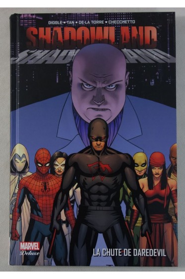 SHADOWLAND - La chute de DAREDEVIL. MARVEL Deluxe intégrale - RARE Diggle - Tan