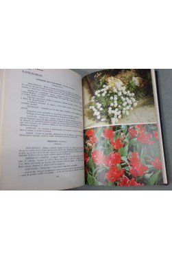 Dans votre jardin... Des FLEURS toute l'année - FLAMMARION, photos. FUCHS et SABOURIN