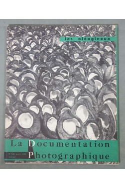 Les Oleagineux - LA DOCUMENTATION PHOTOGRAPHIQUE N°184, 1958 - Illustré -