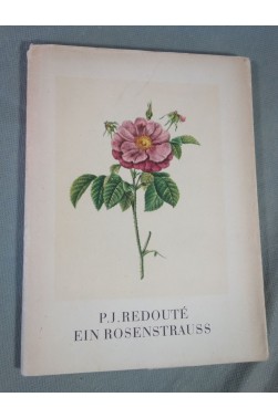 P. J. REDOUTE. Ein Rosenstrauss - ROSES planches en couleurs de Manfred Hausmann