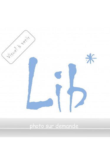 IL NOUS MANQUE L'INFINI - Michel Lafon, 297 pages, 2009
