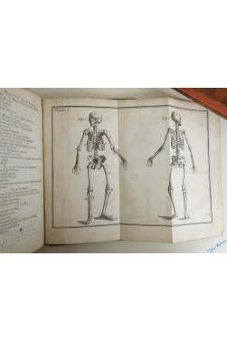 Elémens D'anatomie Raisonnée. Seconde Édition Revue Et Augmentée D'un Traité De La Génération, Par M. Jean-Baptiste Bruny.