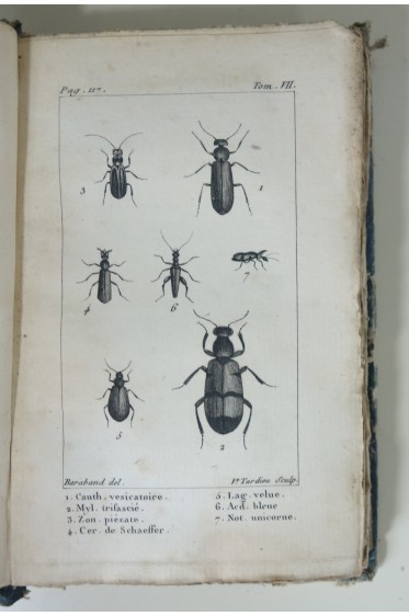 Histoire naturelle des insectes. Lot de 3 tomes avec planches